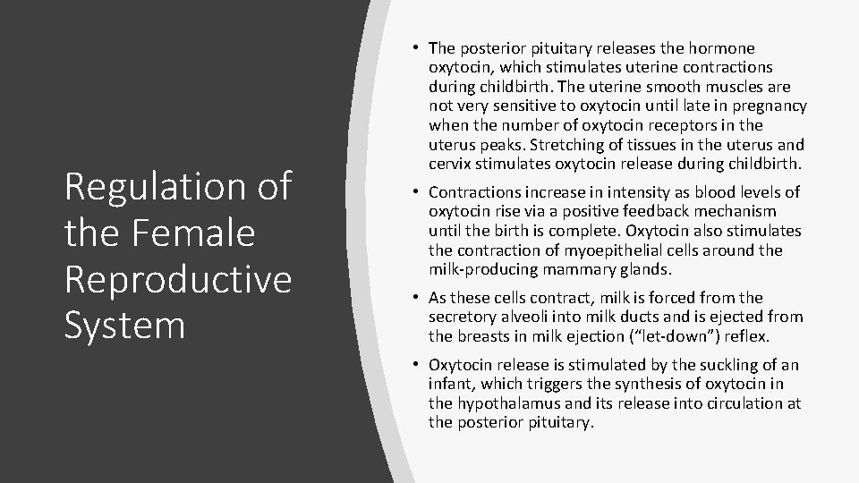 Regulation of the Female Reproductive System • The posterior pituitary releases the hormone oxytocin,