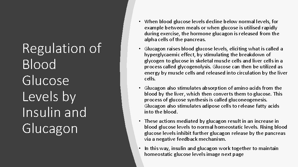 Regulation of Blood Glucose Levels by Insulin and Glucagon • When blood glucose levels
