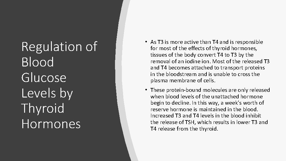 Regulation of Blood Glucose Levels by Thyroid Hormones • As T 3 is more