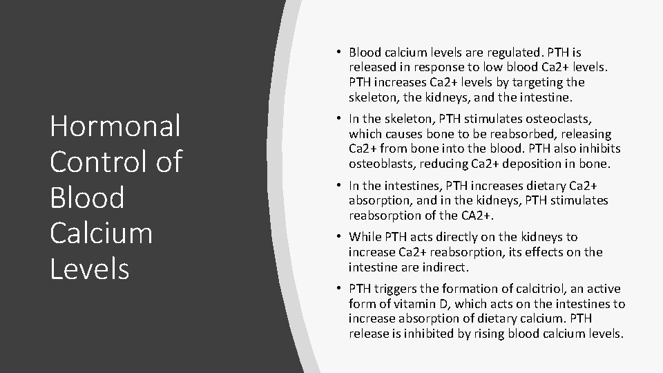 Hormonal Control of Blood Calcium Levels • Blood calcium levels are regulated. PTH is