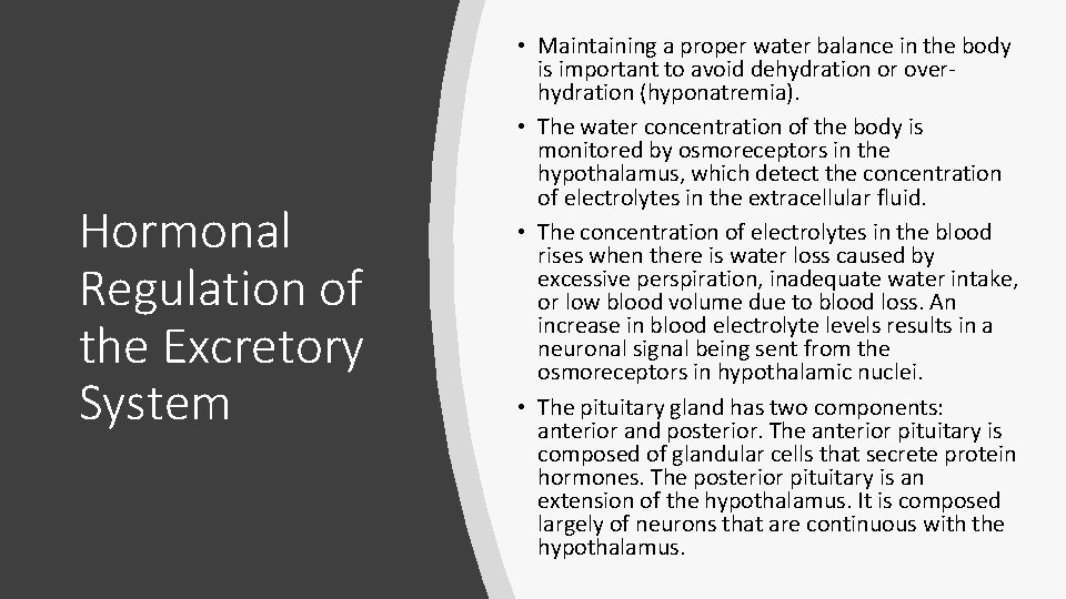 Hormonal Regulation of the Excretory System • Maintaining a proper water balance in the