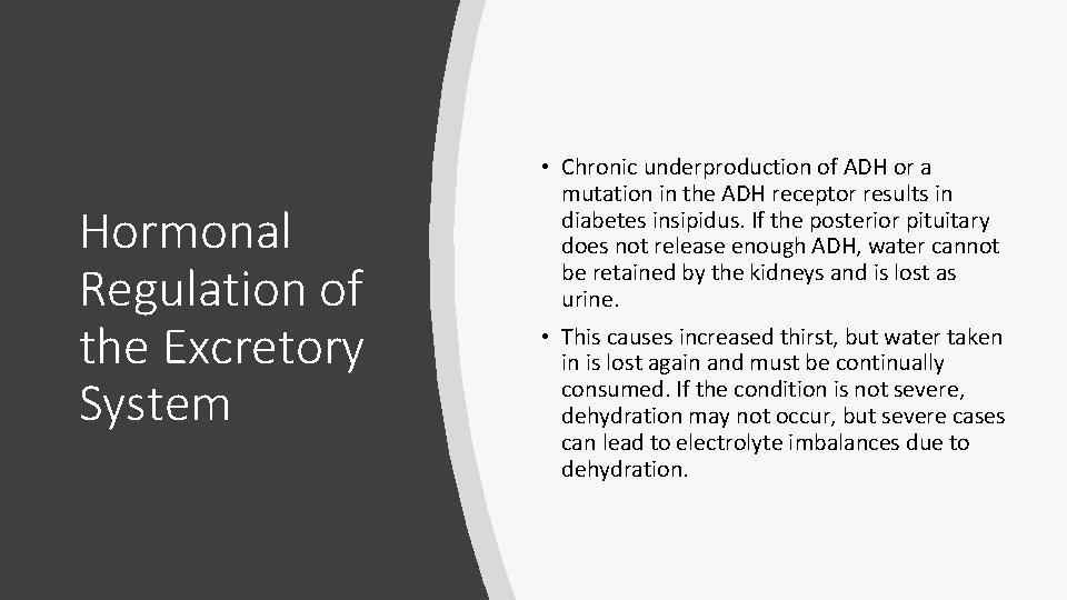 Hormonal Regulation of the Excretory System • Chronic underproduction of ADH or a mutation