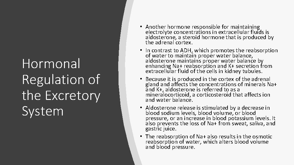 Hormonal Regulation of the Excretory System • Another hormone responsible for maintaining electrolyte concentrations