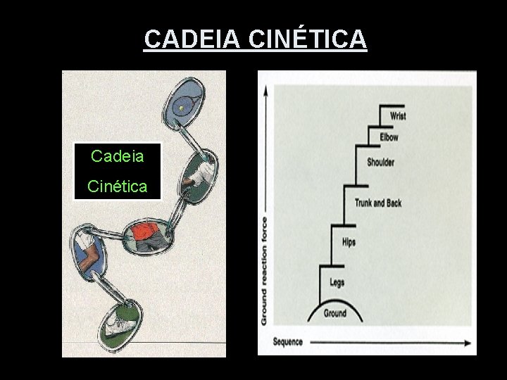 CADEIA CINÉTICA Cadeia Cinética 