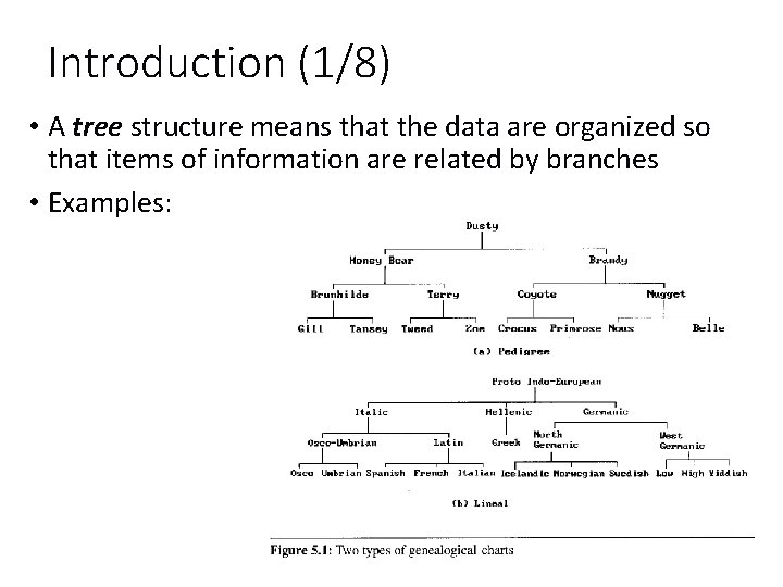 Introduction (1/8) • A tree structure means that the data are organized so that