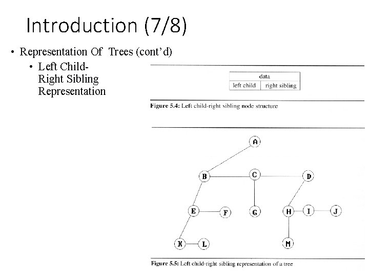 Introduction (7/8) • Representation Of Trees (cont’d) • Left Child. Right Sibling Representation 