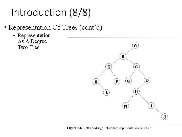 Introduction (8/8) • Representation Of Trees (cont’d) • Representation As A Degree Two Tree