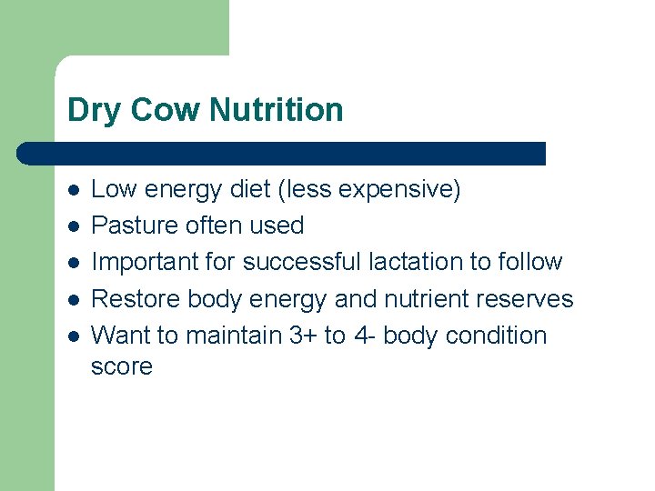 Dry Cow Nutrition l l l Low energy diet (less expensive) Pasture often used