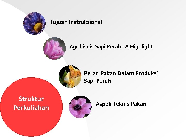 Tujuan Instruksional Agribisnis Sapi Perah : A Highlight Peran Pakan Dalam Produksi Sapi Perah