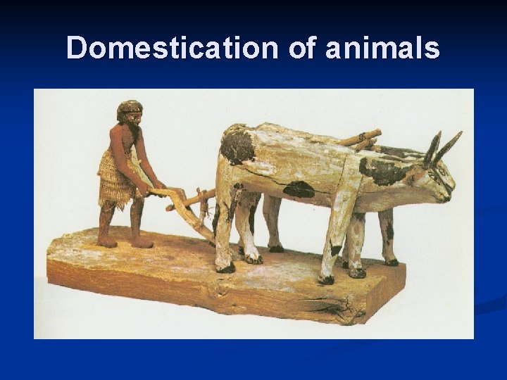 Domestication of animals 