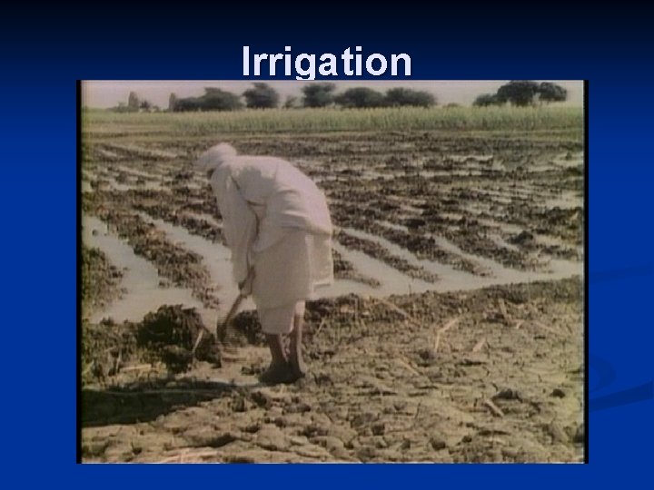 Irrigation 