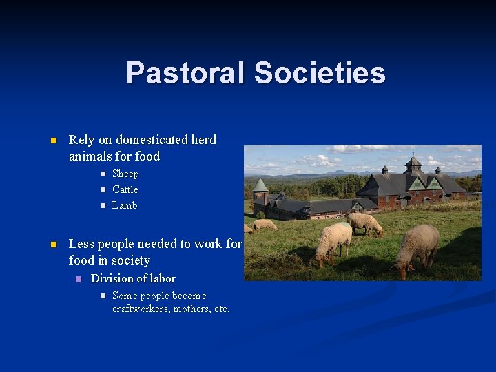 Pastoral Societies n Rely on domesticated herd animals for food n n Sheep Cattle