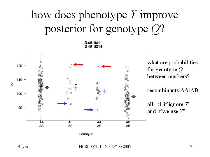 how does phenotype Y improve posterior for genotype Q? what are probabilities for genotype