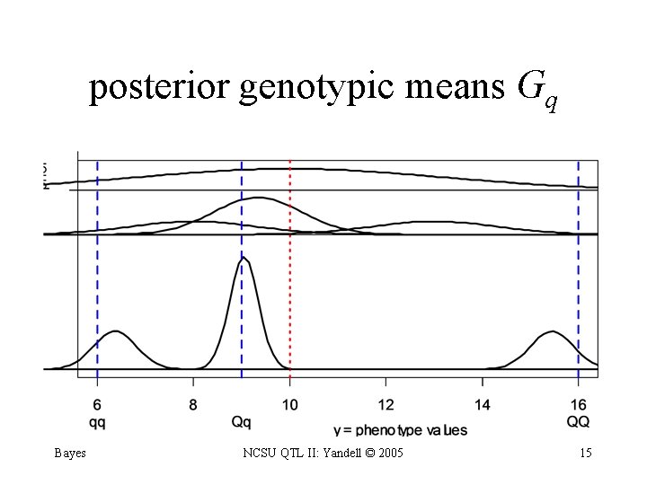 posterior genotypic means Gq Bayes NCSU QTL II: Yandell © 2005 15 