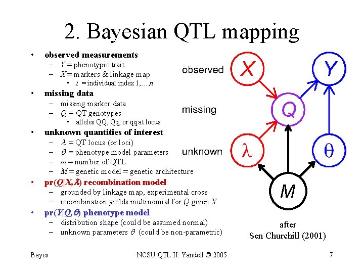 2. Bayesian QTL mapping • observed measurements – Y = phenotypic trait – X