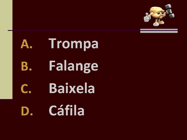 Trompa B. Falange C. Baixela D. Cáfila A. 