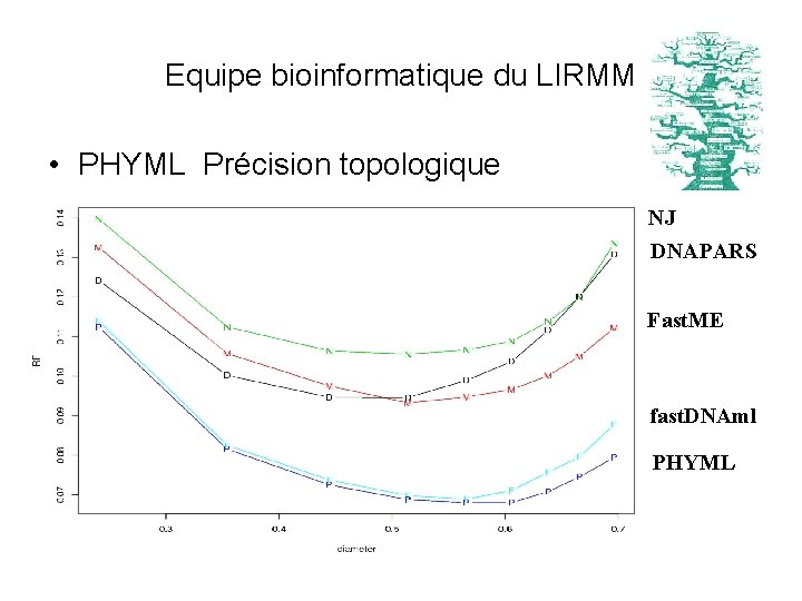 Equipe bioinformatique du LIRMM • PHYML Précision topologique NJ DNAPARS Fast. ME fast. DNAml