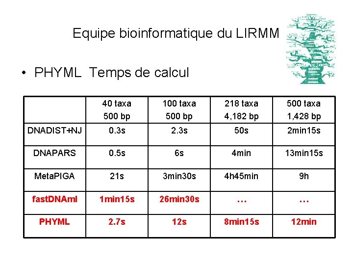 Equipe bioinformatique du LIRMM • PHYML Temps de calcul 40 taxa 500 bp 100