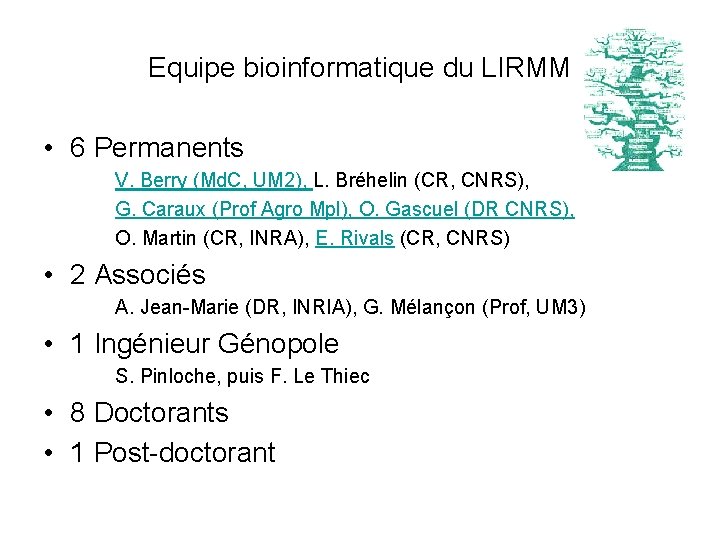 Equipe bioinformatique du LIRMM • 6 Permanents V. Berry (Md. C, UM 2), L.