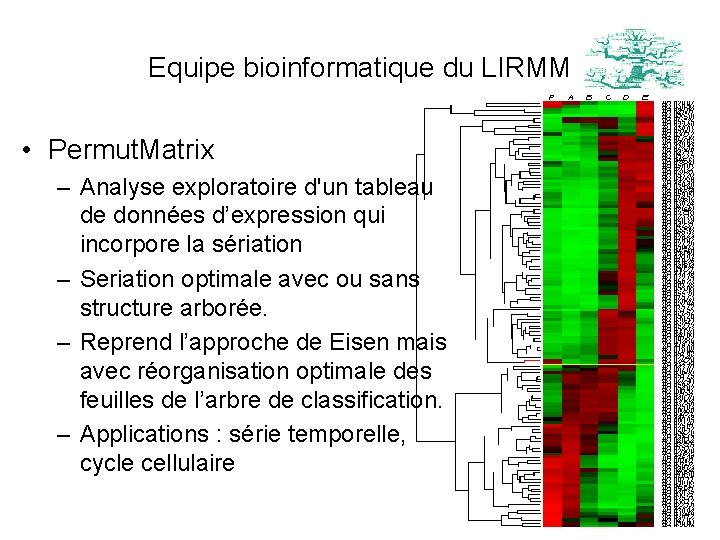 Equipe bioinformatique du LIRMM • Permut. Matrix – Analyse exploratoire d'un tableau de données