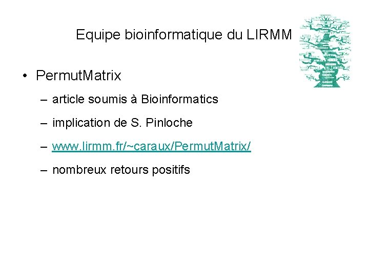 Equipe bioinformatique du LIRMM • Permut. Matrix – article soumis à Bioinformatics – implication