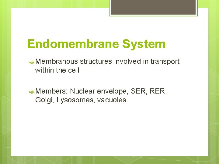 Endomembrane System Membranous structures involved in transport within the cell. Members: Nuclear envelope, SER,