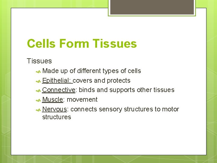 Cells Form Tissues Made up of different types of cells Epithelial: covers and protects