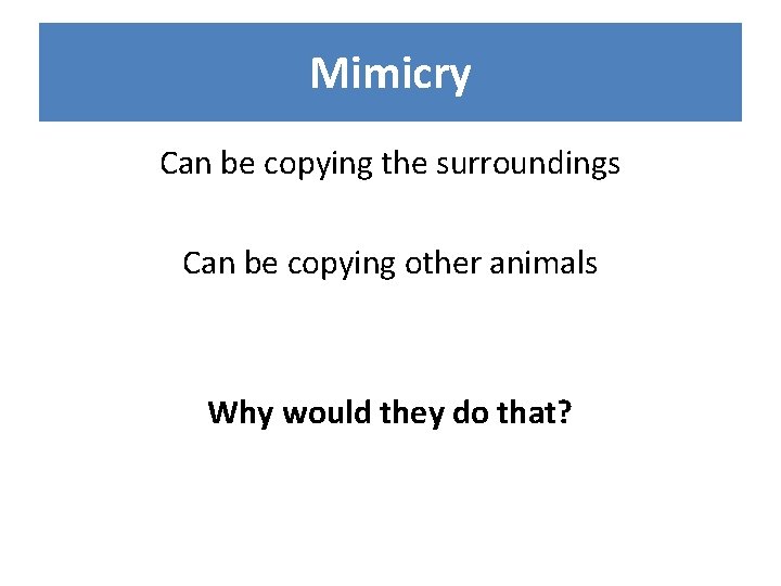 Mimicry Can be copying the surroundings Can be copying other animals Why would they
