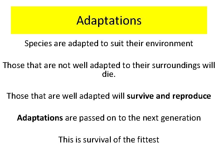 Adaptations Species are adapted to suit their environment Those that are not well adapted