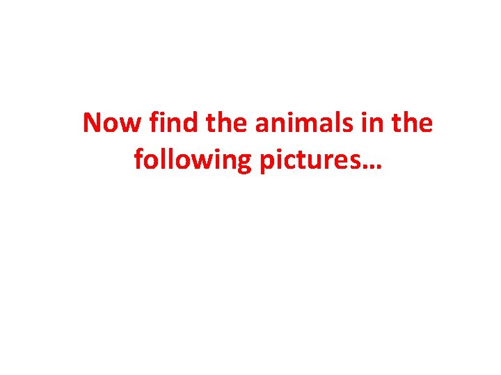Now find the animals in the following pictures… 