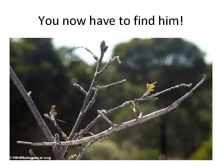 You now have to find him! 