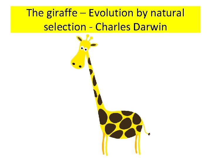 The giraffe – Evolution by natural selection - Charles Darwin 