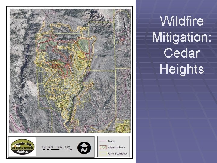 Wildfire Mitigation: Cedar Heights 