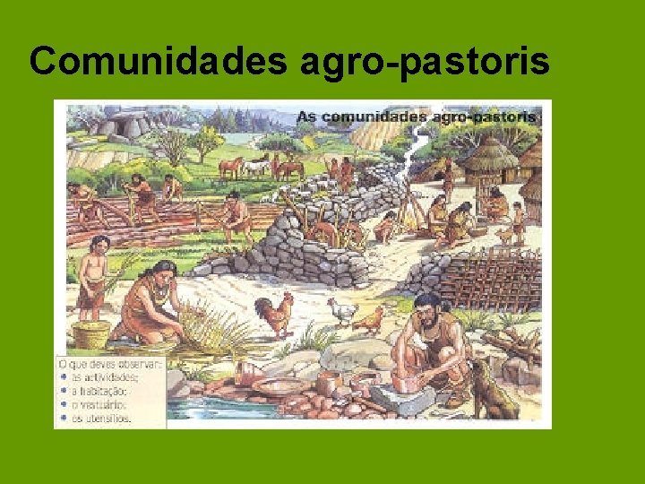 Comunidades agro-pastoris 