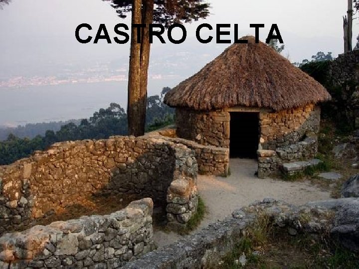 CASTRO CELTA 