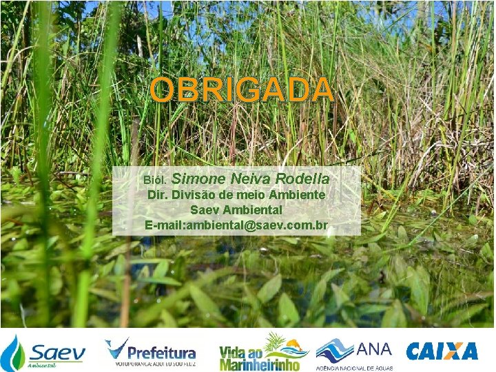 OBRIGADA Biól. Simone Neiva Rodella Dir. Divisão de meio Ambiente Saev Ambiental E-mail: ambiental@saev.