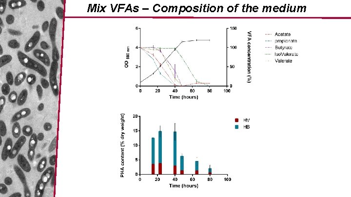 Mix VFAs – Composition of the medium 