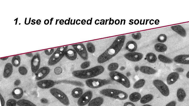 1. Use of reduced carbon source 