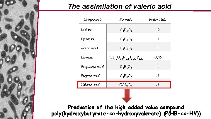 The assimilation of valeric acid Compounds Formule Redox state Malate C 4 H 6