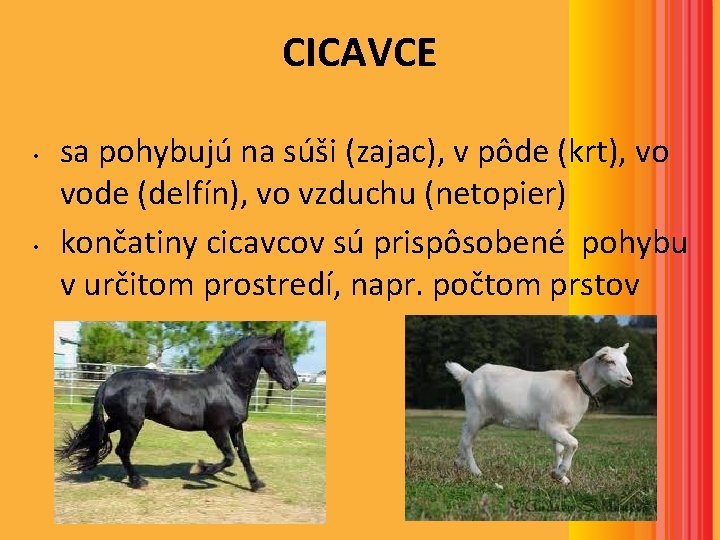 CICAVCE • • sa pohybujú na súši (zajac), v pôde (krt), vo vode (delfín), CICAVCE • • sa pohybujú na súši (zajac), v pôde (krt), vo vode (delfín),