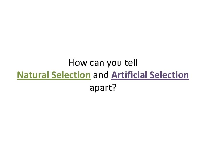 How can you tell Natural Selection and Artificial Selection apart? 