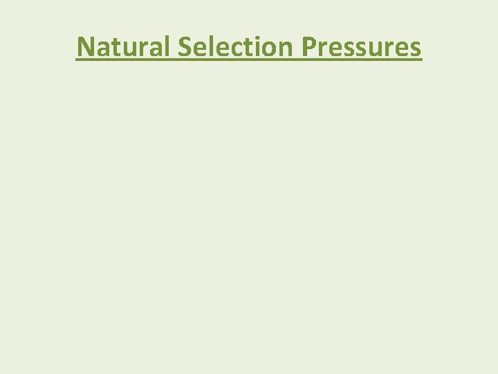 Natural Selection Pressures 