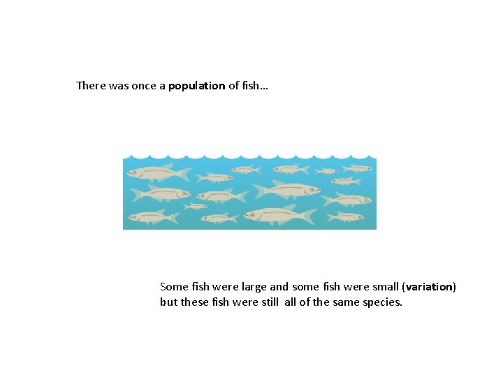 There was once a population of fish… Some fish were large and some fish