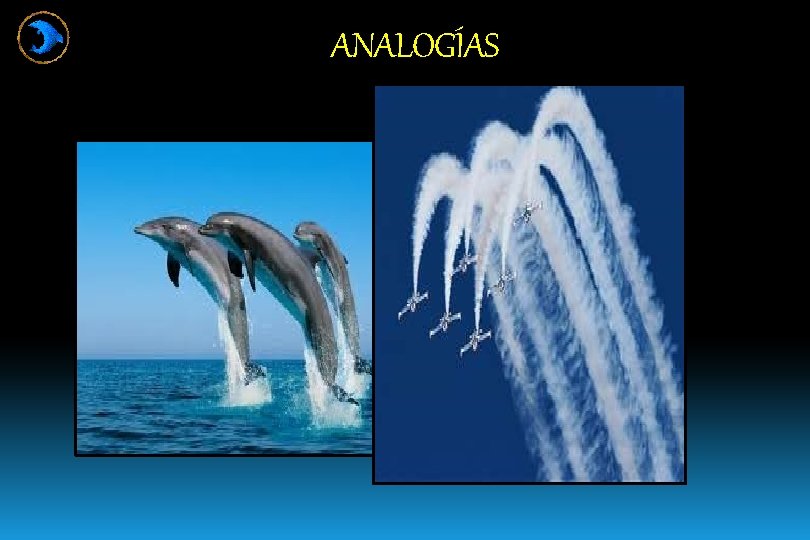 ANALOGÍAS 