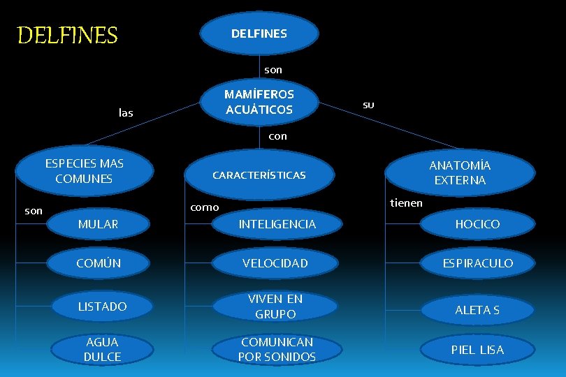 DELFINES son MAMÍFEROS ACUÁTICOS las su con ESPECIES MAS COMUNES son ANATOMÍA EXTERNA CARACTERÍSTICAS