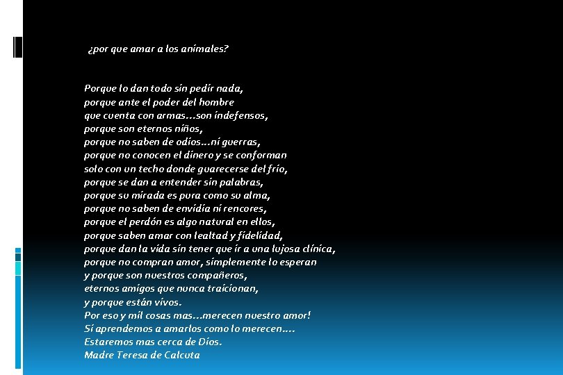 ¿por que amar a los animales? Porque lo dan todo sin pedir nada, porque