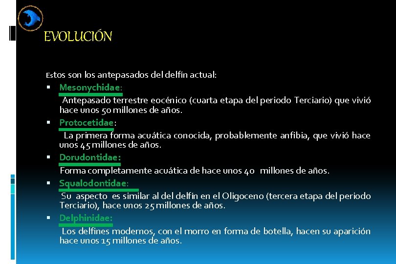 EVOLUCIÓN Estos son los antepasados delfín actual: Mesonychidae: Antepasado terrestre eocénico (cuarta etapa del