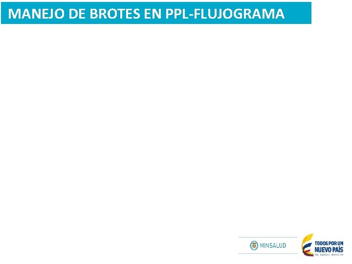 MANEJO DE BROTES EN PPL-FLUJOGRAMA 