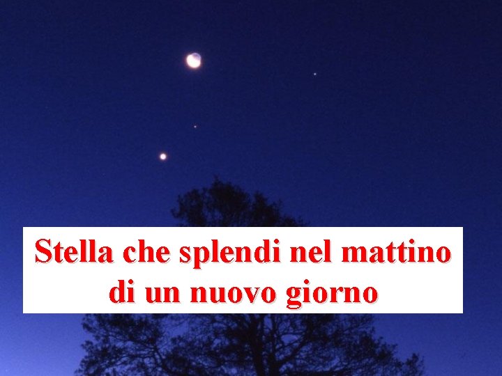 Stella che splendi nel mattino di un nuovo giorno 