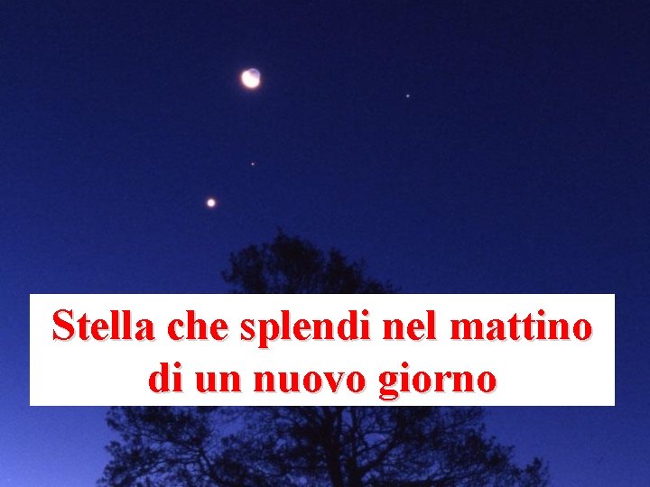 Stella che splendi nel mattino di un nuovo giorno 